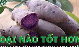 Những lợi &#237;ch &#237;t biết của khoai lang t&#237;m