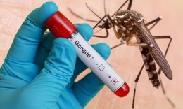 Bệnh sốt xuất huyết: Người bệnh nên ăn thế nào để nhanh hồi phục?