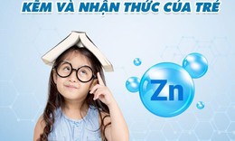 Vi chất kẽm v&#224; sự ph&#225;t triển nhận thức của trẻ