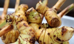 Riềng kích thích tiêu hóa, chữa đầy hơi, đau bụng