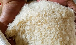 Ấn Độ cấm xuất khẩu, gạo Việt Nam tăng gi&#225; từng ng&#224;y