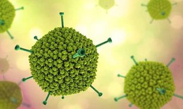 Adenovirus c&#243; thể g&#226;y ra nhiều bệnh kh&#225;c nhau