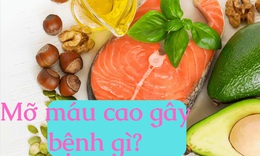 Cholesterol, mỡ m&#225;u cao g&#226;y bệnh g&#236;?