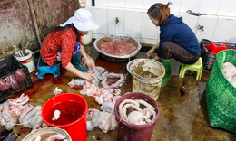 Thủ tướng yêu cầu giám sát, phát hiện sớm trường hợp nhiễm, nghi nhiễm bệnh lây từ động vật sang người