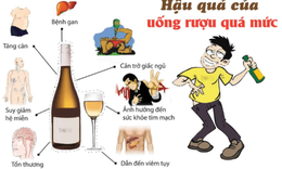 Rượu bia t&#225;c động đến tuyến tụy như thế n&#224;o?