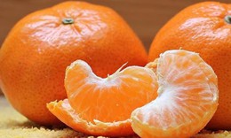 Quýt không chỉ bổ dưỡng mà còn là vị thuốc quý