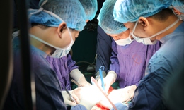 Bộ Y tế: Cơ sở kh&#225;m chữa bệnh chịu tr&#225;ch nhiệm nếu vi phạm về hiến, lấy, gh&#233;p m&#244;, bộ phận cơ thể người