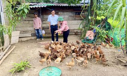 Thừa Thi&#234;n Huế: Tỷ lệ hộ ngh&#232;o giảm nhờ triển khai chương tr&#236;nh mục ti&#234;u quốc gia 1719