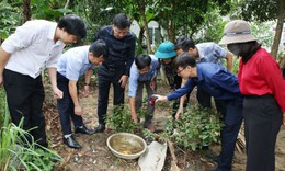 D&#249; mưa lũ ngập lụt, H&#224; Tĩnh kh&#244;ng để dịch bệnh b&#249;ng ph&#225;t