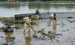 H&#224;ng trăm c&#244;ng nh&#226;n &#39;giải cứu&#39; cầu gỗ lim nổi tiếng ở Huế sau lũ