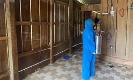 Khống chế ‘điểm n&#243;ng’ về bệnh sốt r&#233;t ở Kh&#225;nh H&#242;a bằng c&#225;ch n&#224;o?