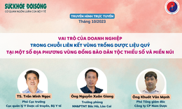 Truyền hình trực tuyến: Vai trò của doanh nghiệp trong chuỗi liên kết vùng trồng dược liệu quý tại một số địa phương vùng đồng bào dân tộc thiểu số và miền núi