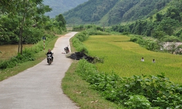 Trấn Y&#234;n, Y&#234;n B&#225;i: Khởi sắc v&#249;ng đồng b&#224;o d&#226;n tộc thiểu số nhờ Chương tr&#236;nh MTQG 1719