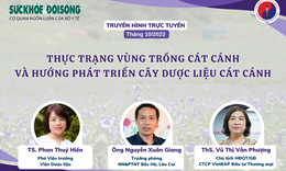 Truyền h&#236;nh trực tuyến: Thực trạng v&#249;ng trồng c&#225;t c&#225;nh v&#224; hướng ph&#225;t triển c&#226;y dược liệu c&#225;t c&#225;nh