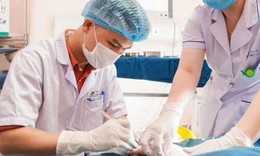 4 con ch&#243; lao v&#224;o cắn b&#233; 7 tuổi tại nơi l&#224;m việc của bố