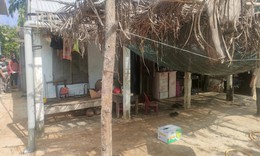 Cháu bé tử vong thương tâm do bị trâu húc