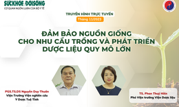 Truyền h&#236;nh trực tuyến: Ph&#225;t triển nguồn giống dược liệu cho nhu cầu trồng v&#224; ph&#225;t triển dược liệu ở quy m&#244; lớn, đảm bảo giống dược liệu sạch bệnh, c&#243; năng suất, chất lượng cao