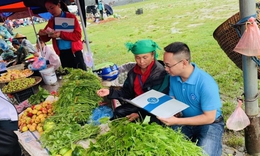 Gia tăng quyền lợi thu h&#250;t người lao động tham gia BHXH