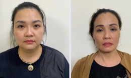 Bắt hai chị em môi giới mang thai hộ giá 1,5 tỷ đồng/lần