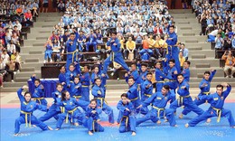 Vovinam - Việt V&#245; Đạo được c&#244;ng nhận l&#224; di sản văn h&#243;a phi vật thể quốc gia