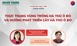 Truyền h&#236;nh trực tuyến: Thực trạng v&#249;ng trồng h&#224; thủ &#244; đỏ v&#224; hướng ph&#225;t triển c&#226;y h&#224; thủ &#244; đỏ