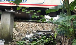 Băng qua đường sắt tại lối đi tự mở, nữ sinh tử vong thương t&#226;m