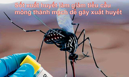 Giảm tiểu cầu, rụng t&#243;c khi bị sốt xuất huyết n&#234;n bổ sung g&#236;?