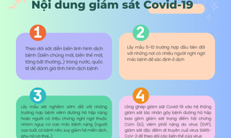 
Chuyển sang nh&#243;m B, Covid-19 sẽ được gi&#225;m s&#225;t như thế n&#224;o? 