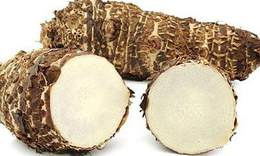 Có nên sử dụng củ ráy để chữa bệnh?