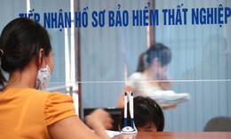 Ban h&#224;nh danh mục dịch vụ sự nghiệp c&#244;ng sử dụng Quỹ bảo hiểm thất nghiệp