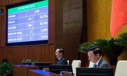 Thông qua Luật Viễn thông (sửa đổi): Bỏ cọc khi đấu giá kho số viễn thông sẽ bị phạt thế nào?