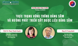 Truyền hình trực tuyến: Thực trạng vùng trồng đảng sâm và hướng phát triển cây dược liệu đảng sâm