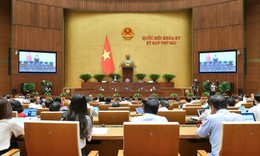 Sửa đổi Luật Đất đai nhằm khuyến kh&#237;ch người d&#226;n tự nguyện b&#224;n giao đất bị thu hồi
