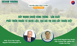 Truyền h&#236;nh trực tuyến: Đẩy mạnh chuỗi v&#249;ng trồng-sản xuất, ph&#225;t triển thuốc từ dược liệu, tạo gi&#225; trị cho c&#226;y thuốc Việt