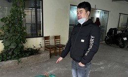 Bắt giữ đối tượng vận chuyển, t&#224;ng trữ động vật hoang d&#227;