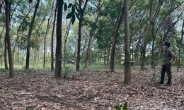 Truy tìm danh tính thi thể người đàn ông phân hủy trong tư thế treo cổ