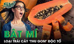 Loại tr&#225;i c&#226;y &#39;thu gom&#39; độc tố, hỗ trợ ph&#242;ng chống ung thư