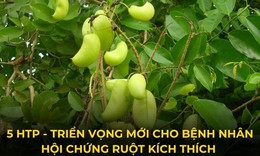 Hoạt chất 5-HTP - giải ph&#225;p cho bệnh đại tr&#224;ng co thắt