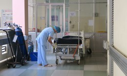 TP.Hồ Ch&#237; Minh sẵn s&#224;ng c&#225;c kịch bản nếu c&#250;m A/H5N1 x&#226;m nhập