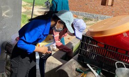 Hơn 300 ca sốt xuất huyết ở B&#236;nh Định từ đầu năm đến nay