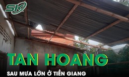 Hiện trường tan hoang sau mưa lớn ở Tiền Giang: 67 căn nh&#224; bị tốc m&#225;i, nhiều c&#226;y tr&#225;i ng&#227; đổ 