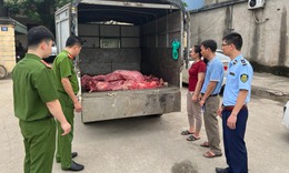 Vận chuyển hơn 2 tạ thịt lợn đang trong qu&#225; tr&#236;nh ph&#226;n huỷ, bốc m&#249;i h&#244;i thối đi ti&#234;u thụ