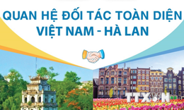 [Infographics] Quan hệ đối t&#225;c to&#224;n diện Việt Nam-H&#224; Lan