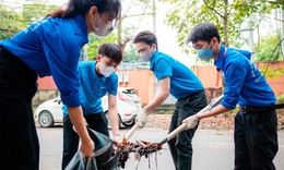 Remos hợp t&#225;c c&#249;ng Cổng Tri thức Th&#225;nh Gi&#243;ng khởi động chiến dịch &quot;V&#236; một cộng đồng kh&#244;ng sốt xuất huyết&quot;