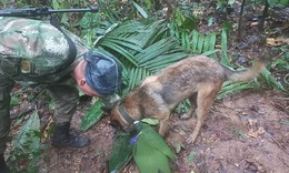 Bốn trẻ em sống sót thần kỳ sau tai nạn máy bay ở Colombia