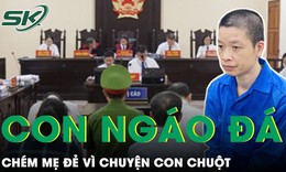 Con trai ng&#225;o đ&#225; s&#225;t hại mẹ đẻ v&#236; chuyện con chuột nhận &#225;n 12 năm t&#249; giam