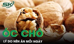 L&#253; do khiến bạn n&#234;n ăn hạt &#243;c ch&#243; mỗi ng&#224;y