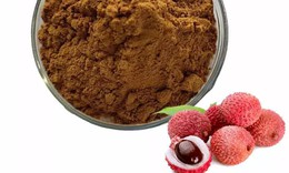 Khám phá công dụng chữa bệnh từ hạt vải