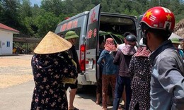 Vào rừng lấy mật, người đàn ông bị ong đốt tử vong
