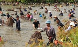 H&#224;ng ngh&#236;n người tay nơm, tay v&#243; lao xuống đầm bắt c&#225; cầu may ở H&#224; Tĩnh